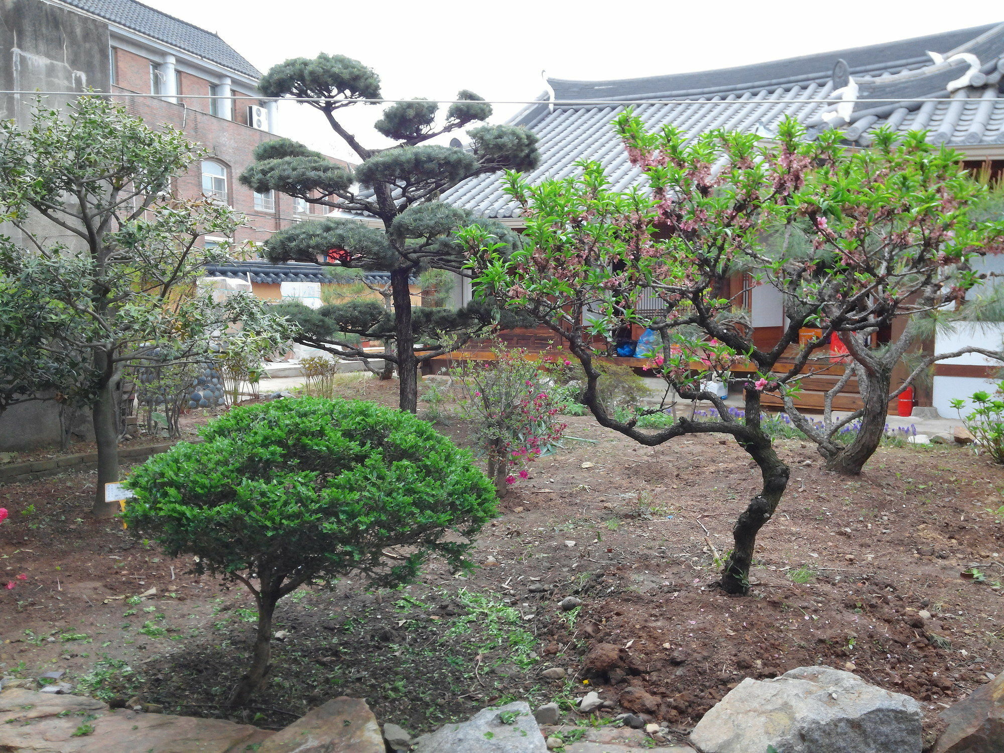 Sodamwon Чонджу Экстерьер фото