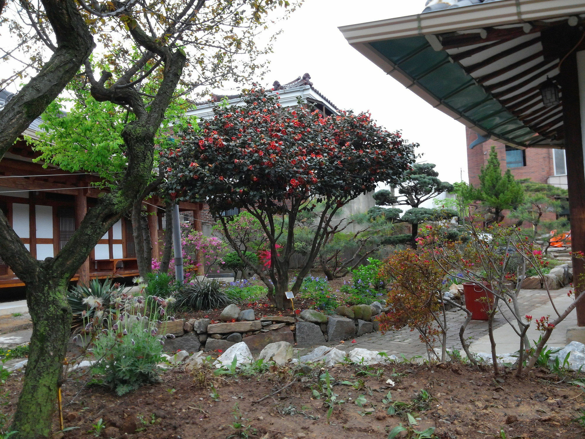 Sodamwon Чонджу Экстерьер фото