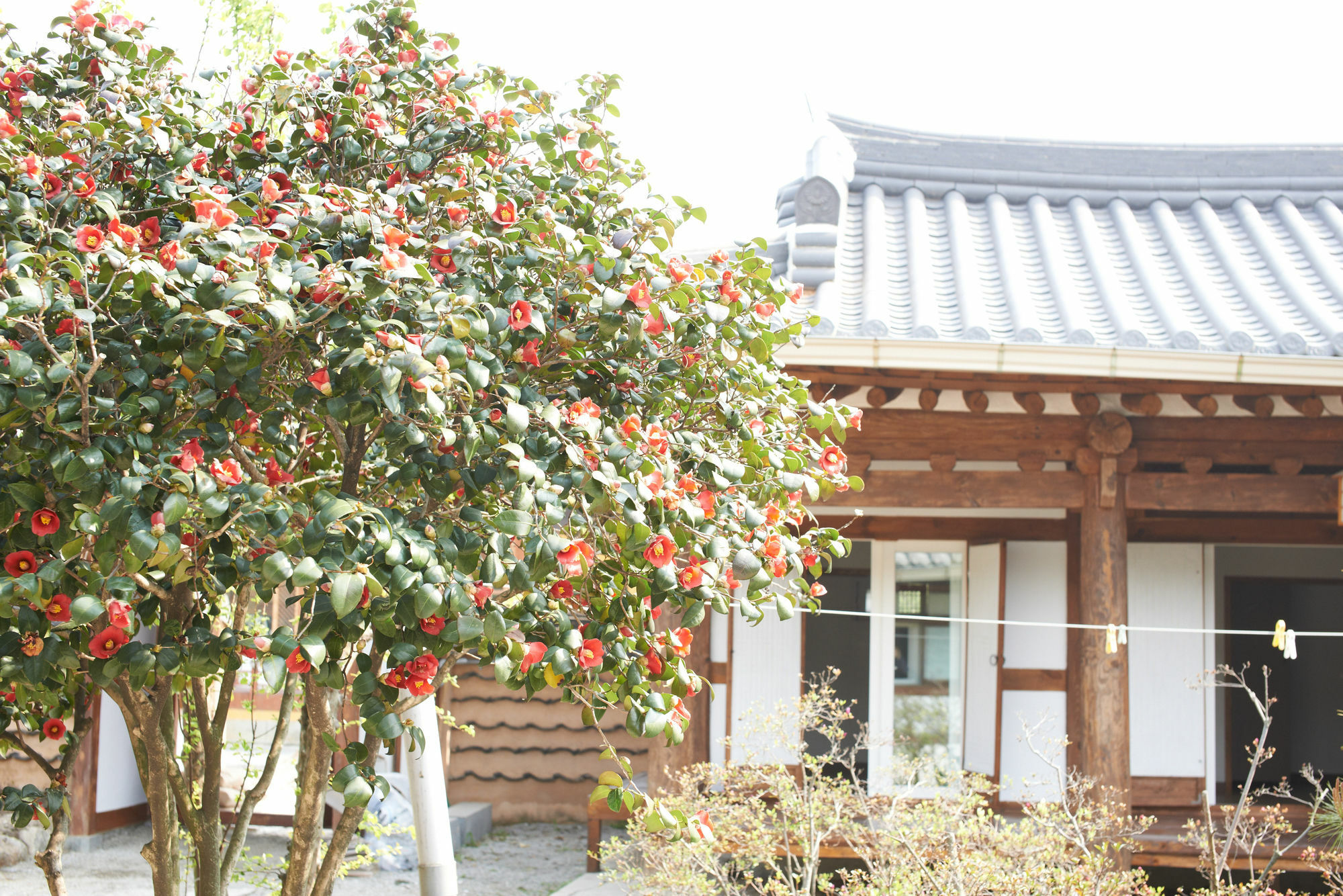 Sodamwon Чонджу Экстерьер фото