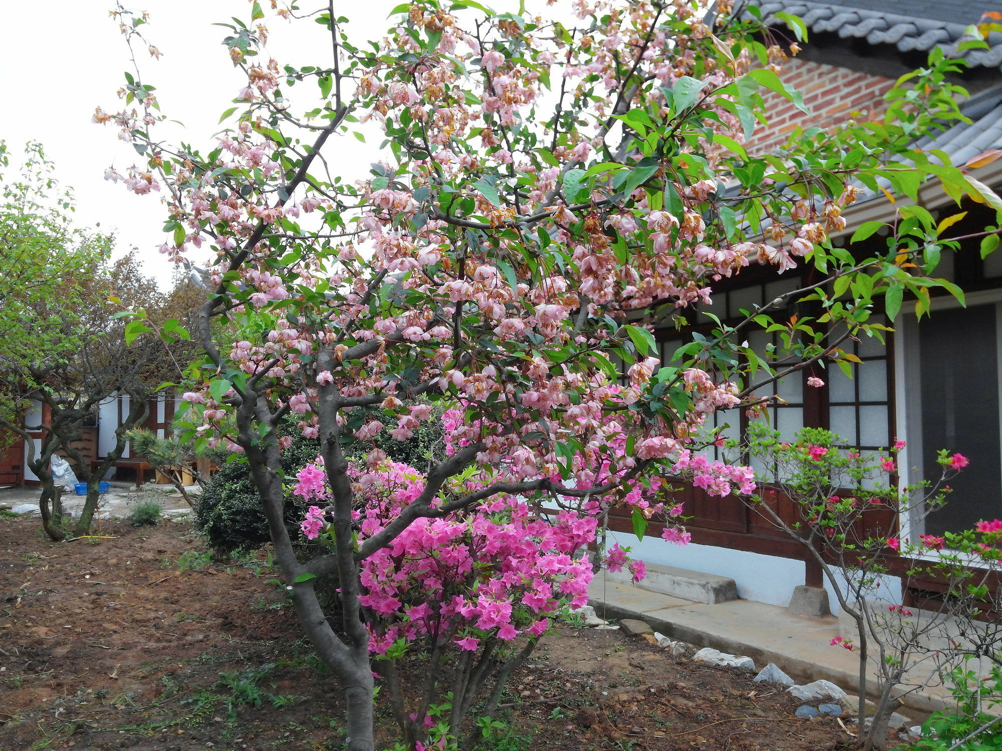Sodamwon Чонджу Экстерьер фото