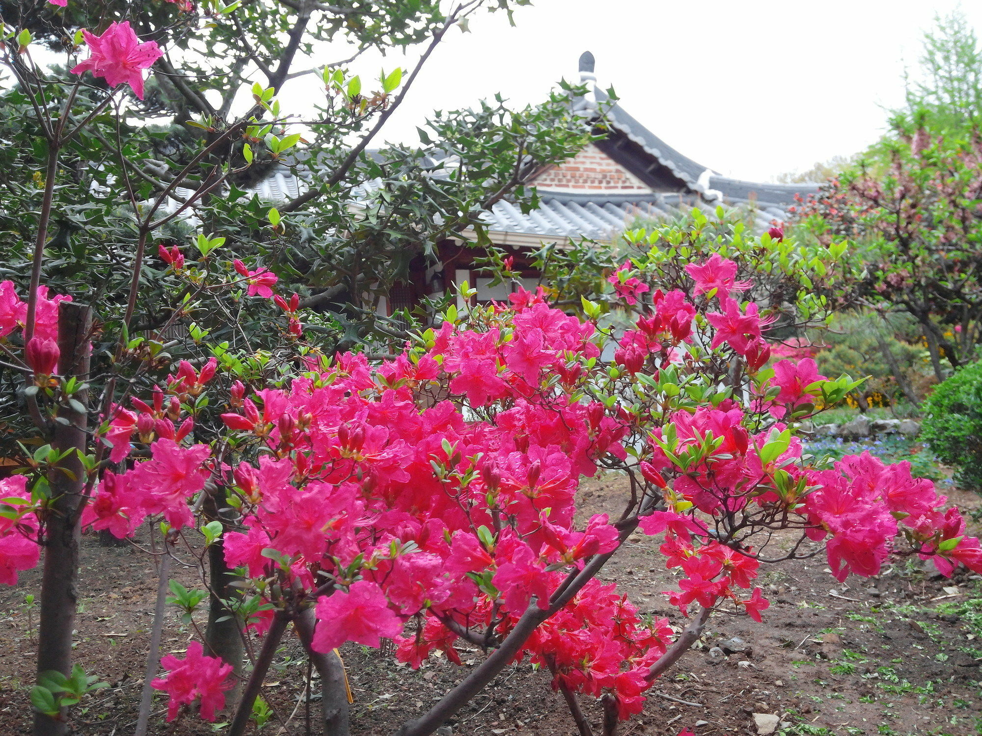 Sodamwon Чонджу Экстерьер фото